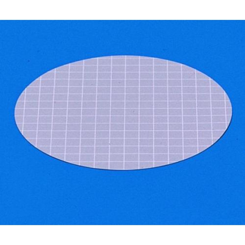 0697016