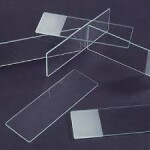 SLIDE GROUND EDGE - FROSTED 50/BX