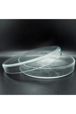 Petri Dish Glass 100mm