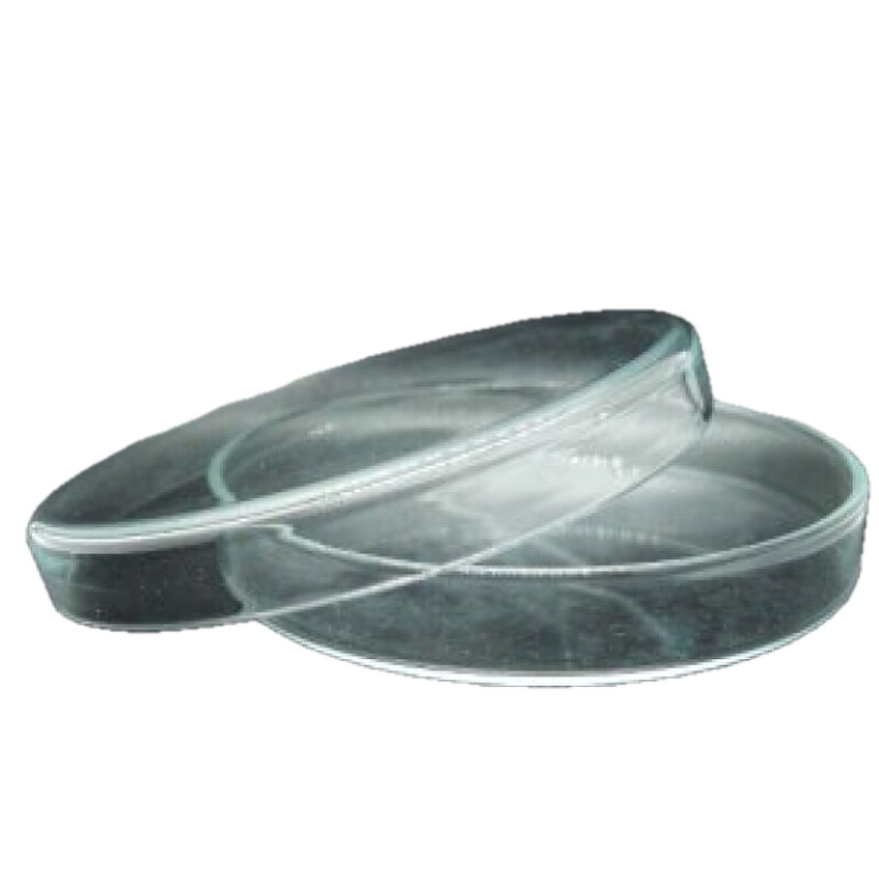 Petri Dish Glass 100mm 768x768 1