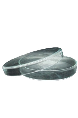 Petri Dish-Glass 60mm