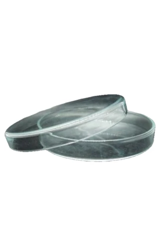 Petri Dish-Glass 60mm