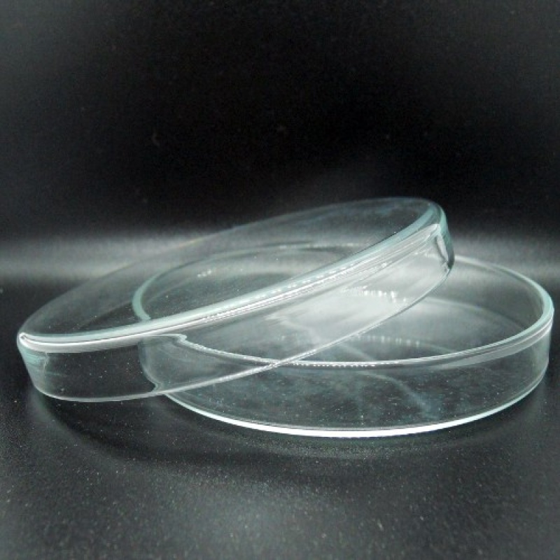 Petri Dish Glass 100mm