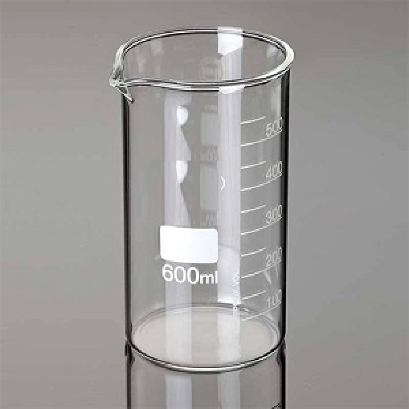 Beakers Glass Tall Form 600ml 2