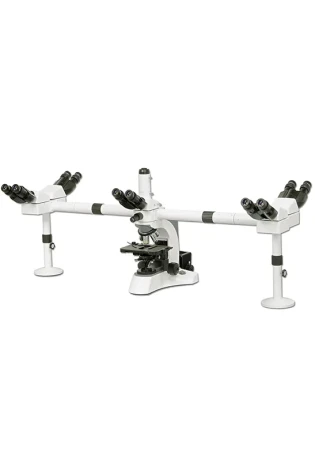 Microscope Multi-Head  BS-2080MH10