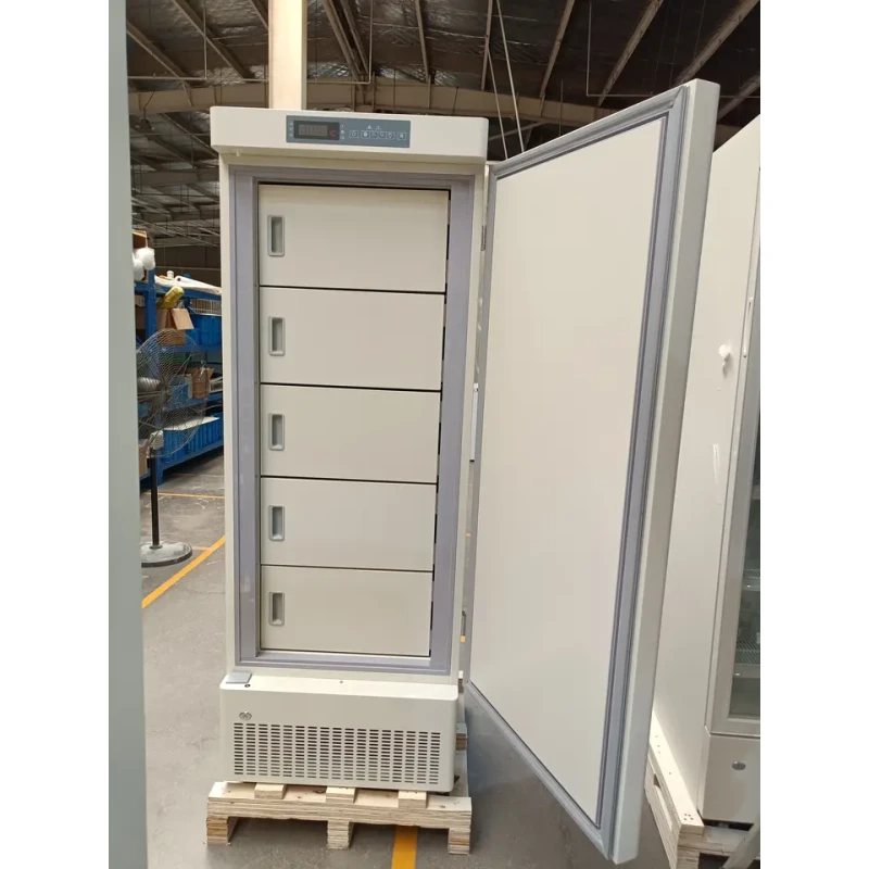 Laboratory Pharmacy Freezer -25°C 270L - Image 2