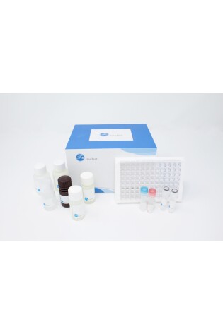 Test Kit Thiocyanate 0-15ppm